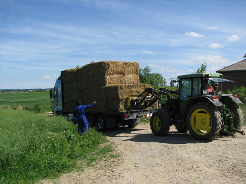 Gerritse Fourage & Transport foto 7