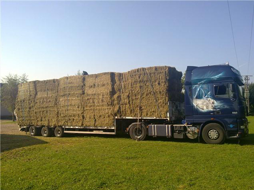 Gerritse Fourage & Transport foto 10